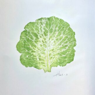 Heather Sandifer, "Savoy Cabbage Leaf, Cat. 104," monotype, mixed media on vellum paper