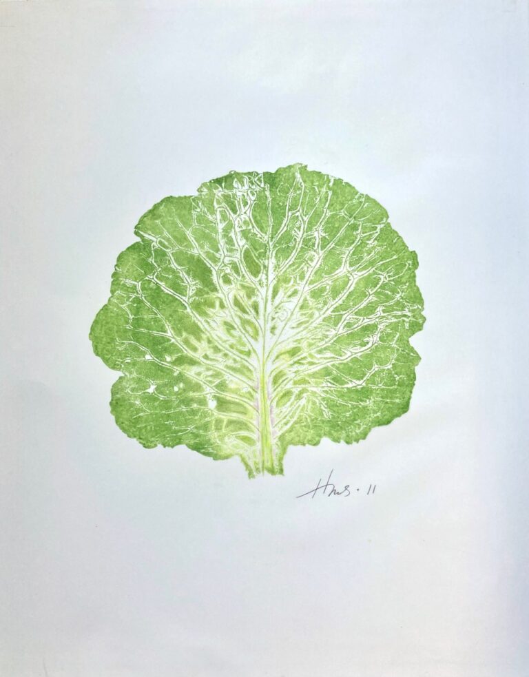 Heather Sandifer, "Savoy Cabbage Leaf, Cat. 104," monotype, mixed media on vellum paper