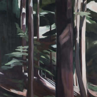 Adirondacks, Bent Tree  2