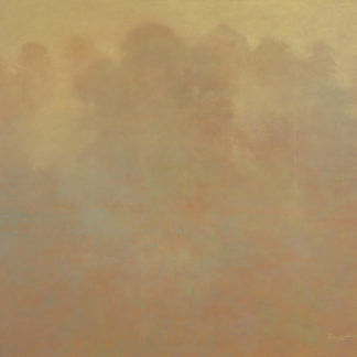 In the Mist Among the Tree Terraces