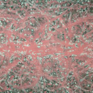 Sakura Cherry Blossoms