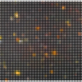Stars