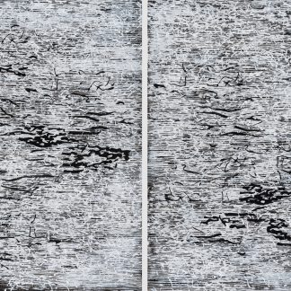 Laura Fayer, "The Dance is Sure," acrylic, Japanese paper on paper; diptych