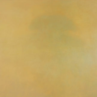 The Illusive Oneness