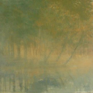 The Wooded Broadbrook