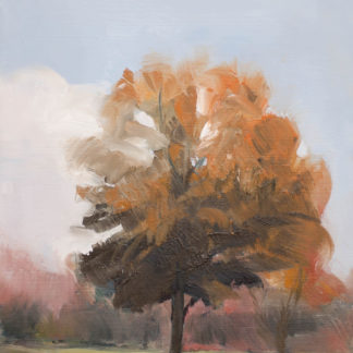 Tree Portrait 8