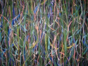 Untitled 6