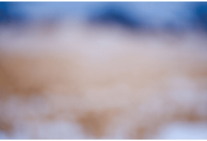 Color Fields 047