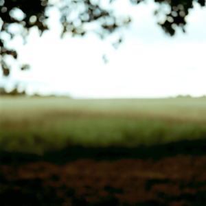 Landscape 029