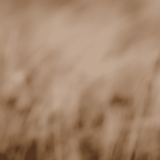 Landscape 033