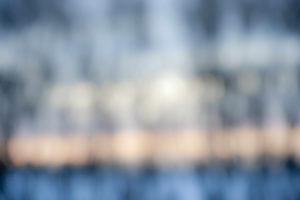 Landscape 049