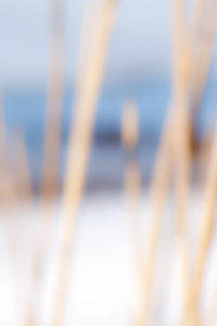 Landscape 054