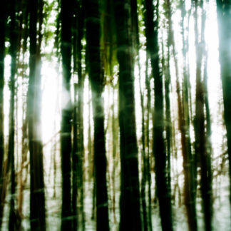 Landscape 071