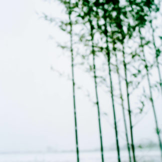Landscape 076