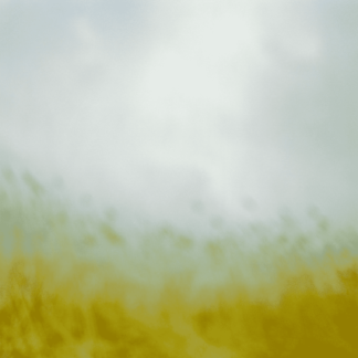Landscape 40