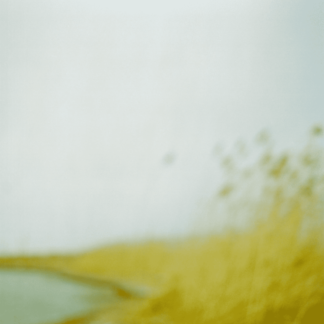 Landscape 43