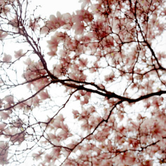 Still 2004.01.27.03