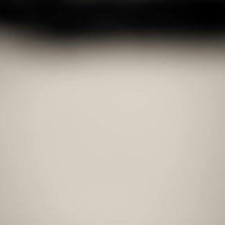 Still 2011.04.DI.00270