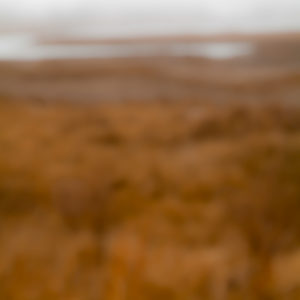 Still 2012.04.DI.00110