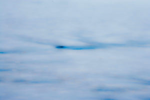 Untitled 2011.04.DI.00450