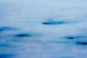 Untitled 2011.04.DI.00456