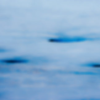 Untitled 2011.04.DI.00456