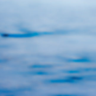 Untitled 2011.DI.00452