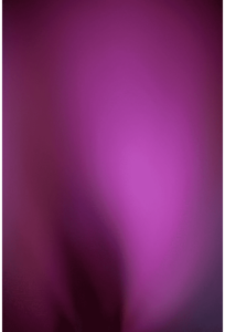 Abstracts of the Land 006