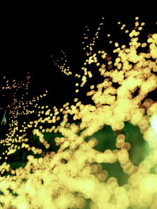 Bubble [Rockefeller] 2001