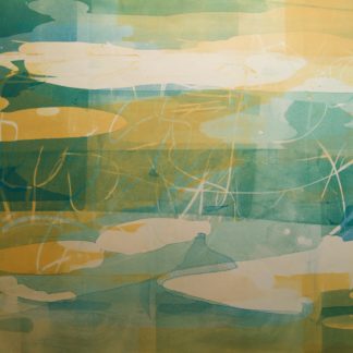 Tidal Pool XVI