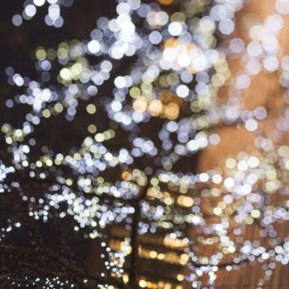 Susan Wides, "Bubble 3.11.14.7," chromogenic print