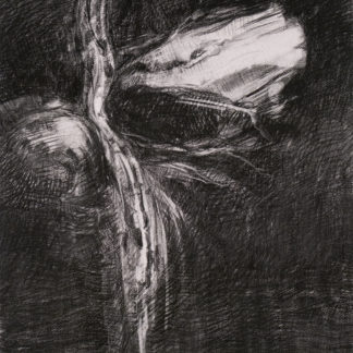 Drawing for 'Still Night Falling' (1110)
