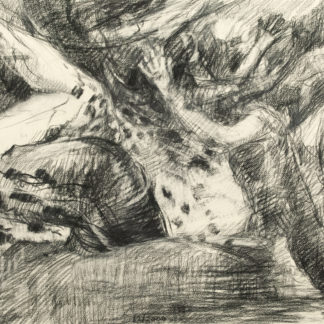 Drawing (1206)