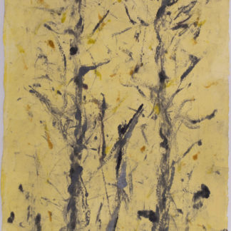 Hamadryad Series: Grey II