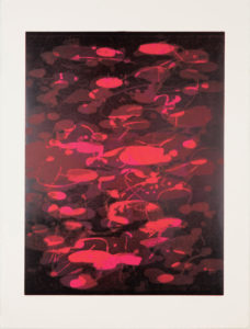 Koi Suite IX