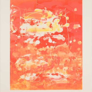 New Swamp Series: Red II