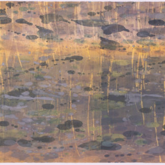 Tidal Pool XIV