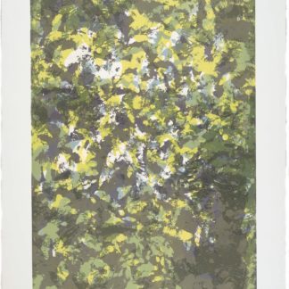 Sunlight Series VI
