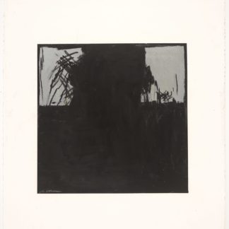 Black White Series: New Haven Winter