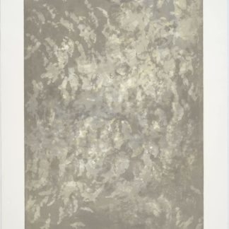 Hibernal Moon VII