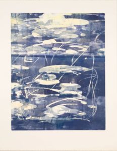 Marsh Spring Moonlight