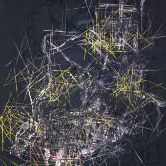 Rhizome 12
