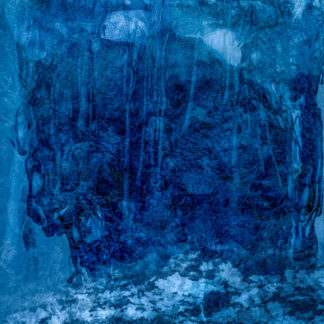 Vicky Stromee, "Dreams of Blue 11," chromogenic print