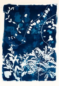 Summer Field II