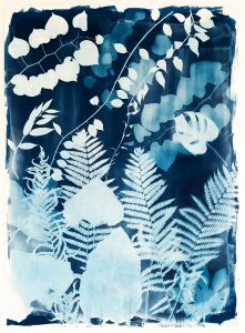 Emily Hamilton Laux, "Summer Field IV", cyanotype on archival hot press paper