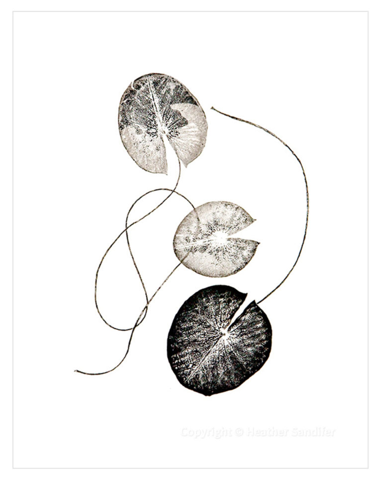 Heather Sandifer, "Fleeting, Waterlily Leaves Cat. 44," mixed media on vellum paper