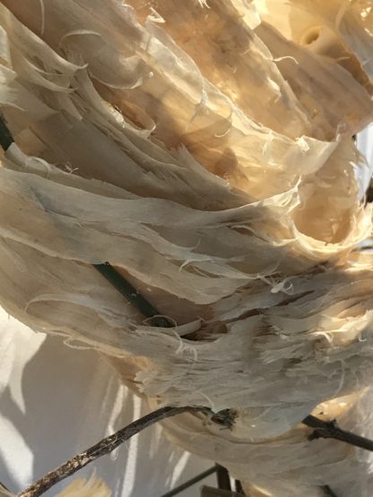 Untitled - Image 4
