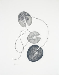 Heather Sandifer, "Fleeting, Waterlily Leaves, Cat. 44," mixed media on vellum paper