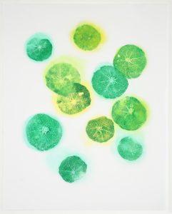 Heather Sandifer, "Bubble Up (Nasturtium) Cat. 143," mixed media on vellum paper