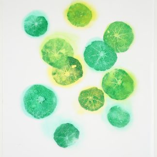 Heather Sandifer, "Bubble Up (Nasturtium) Cat. 143," mixed media on vellum paper